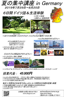 2019夏の集中講座PDF