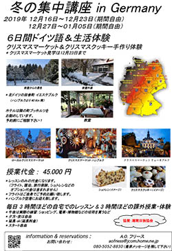 2019冬の集中講座PDF